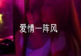 Avi-mp4-爱情一阵风-卓依婷-林正桦-DJPad仔-车载夜店DJ视频