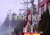Avi-mp4-爱情有时很残忍-玺晨-DJ何鹏-车载美女热舞视频