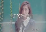 Avi-mp4-许多年以后-赵鑫-DJ何鹏-车载美女写真视频