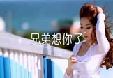 Avi-mp4-兄弟想你了-王韵-DJ沈念-车载美女写真视频