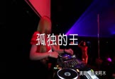Avi-mp4-孤独的王-海来阿木-DJ名-车载夜店DJ视频