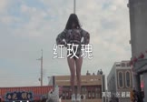 Avi-mp4-红玫瑰-张碧晨-DJLeo-车载美女热舞视频