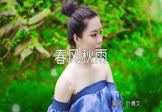 Avi-mp4-春风秋雨-叶倩文-DJcandy-车载美女写真视频