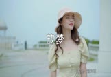 Avi-mp4-故梦-刘安琪-DJ阿福-车载美女写真视频