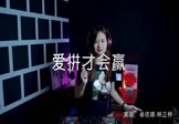 Avi-mp4-爱拼才会赢-卓依婷-林正桦-DJ名龙-车载美女DJ视频