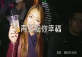 Avi-mp4-再见祝你幸福-黄静美-老板-DJ武圣雄-车载夜店DJ视频