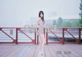 Avi-mp4-美酒加咖啡-高胜美-DJBobo-车载美女跳舞DJ视频
