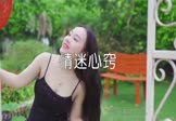 Avi-mp4-情迷心窍-菲儿-DJcandy-车载美女写真视频