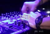 Avi-mp4-为何爱-林秋风-DJ沈念-车载夜店DJ视频
