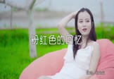 Avi-mp4-粉红色的回忆-韩宝仪-DJ小罗-车载美女写真视频