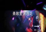 Avi-mp4-勇敢爱潇洒走-张冬玲-DJ阿远-车载夜店DJ视频