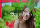 Avi-mp4-爱你在心口难开-孙露-DJ刘超-车载美女写真视频