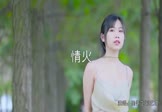 Avi-mp4-情火-崔伟立-孙艺琪-DJ何鹏-车载美女写真视频