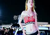 Avi-mp4-你还要我怎样-徐薇-DJPad仔-车载美女热舞视频