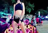 Avi-mp4-挪威的森林-伍佰-DJay-车载美女热舞视频