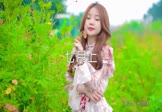 Avi-mp4-七月上-曲肖冰-DJ阿帆-车载美女写真视频