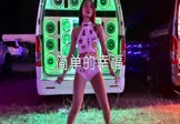 Avi-mp4-简单的幸福-安小朵-MCyaoyao-车载美女热舞视频