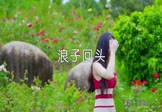 Avi-mp4-浪子回头-王玉萌-DJ阿帆-车载美女写真视频