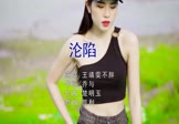 Avi-mp4-沦陷-王靖雯不胖-DJ凯利-车载美女写真视频