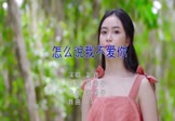 Avi-mp4-怎么说我不爱你-副官-DJ版-车载美女写真视频