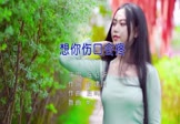 Avi-mp4-想你伤口会疼-庄心妍-MCYY-车载美女写真视频