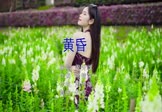Avi-mp4-黄昏-周传雄-DJ伯格-车载美女写真视频