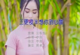 Avi-mp4-三更夜半想你到心酸-王恰恰-DJ阿卓-车载美女写真视频