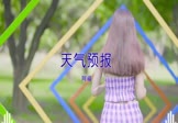 Avi-mp4-天气预报-DJ阿福-车载美女写真视频