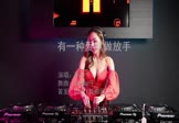 Avi-mp4-有一种爱叫做放手-阿木-DJPad仔-车载美女打碟视频