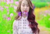 Avi-mp4-落了白-蒋雪儿-海南DJ茂-车载美女写真视频