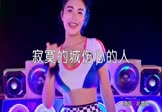 Avi-mp4-寂寞的城伤心的人-赵蕾蕾-DJ何鹏-车载美女热舞视频