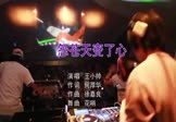 Avi-mp4-怨苍天变了心-小鬼阿秋-DJ花哨-车载派对舞曲视频