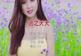 Avi-mp4-逃之夭夭-张禾禾-DJQQ-车载美女写真视频