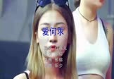 Avi-mp4-爱何求-红孩儿-DJ阳少-车载夜店DJ视频
