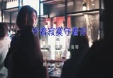 Avi-mp4-守着寂寞守着你-何鹏 徐海琴-DJ版-车载夜店DJ视频