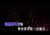 Avi-mp4-浮生记-海来阿木-DJ阿卓-车载夜店DJ视频