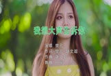 Avi-mp4-我想大声告诉你-樊凡-DJpout小辉-车载美女写真视频