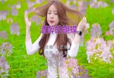 Avi-mp4-酒醉的蝴蝶-孙艺琪-DJ阿帆-车载美女写真视频