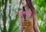 Avi-mp4-我就是静静-王琪-DJcandy-车载美女写真视频