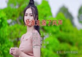 Avi-mp4-是谁走漏了风声-上官瑶儿-DJ何鹏-车载美女写真视频