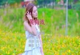 Avi-mp4-黄梅戏-小潘潘-潘柚彤-DJR7-车载美女写真视频