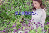 Avi-mp4-爱上离婚的女人-陈玉建-DJ欧东-车载美女写真视频
