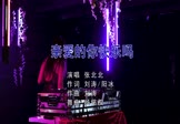 Avi-mp4-亲爱的你快乐吗-张北北-DJ杨铭权-车载美女打碟视频