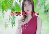 Avi-mp4-路边的野花不要采-朱美璇-DJ伟然-车载美女写真视频