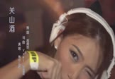 Avi-mp4-关山酒-等什么君-越南鼓-车载夜店DJ视频