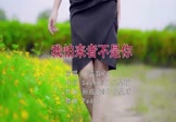 Avi-mp4-我怕来者不是你-小蓝背心-DJPad仔-车载美女写真视频