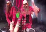 Avi-mp4-走了就别后悔-姬楚楚-DJalexx-车载玄冥二老打碟视频