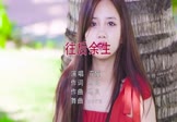 Avi-mp4-往后余生-花僮-DJCorn-车载美女写真视频