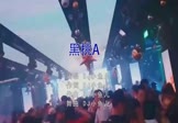 Avi-mp4-黑桃A-DJ小鱼儿-车载夜店DJ视频