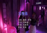 Avi-mp4-忘情果-鹏鹏-思佳-DJ昊昊-车载夜店DJ视频